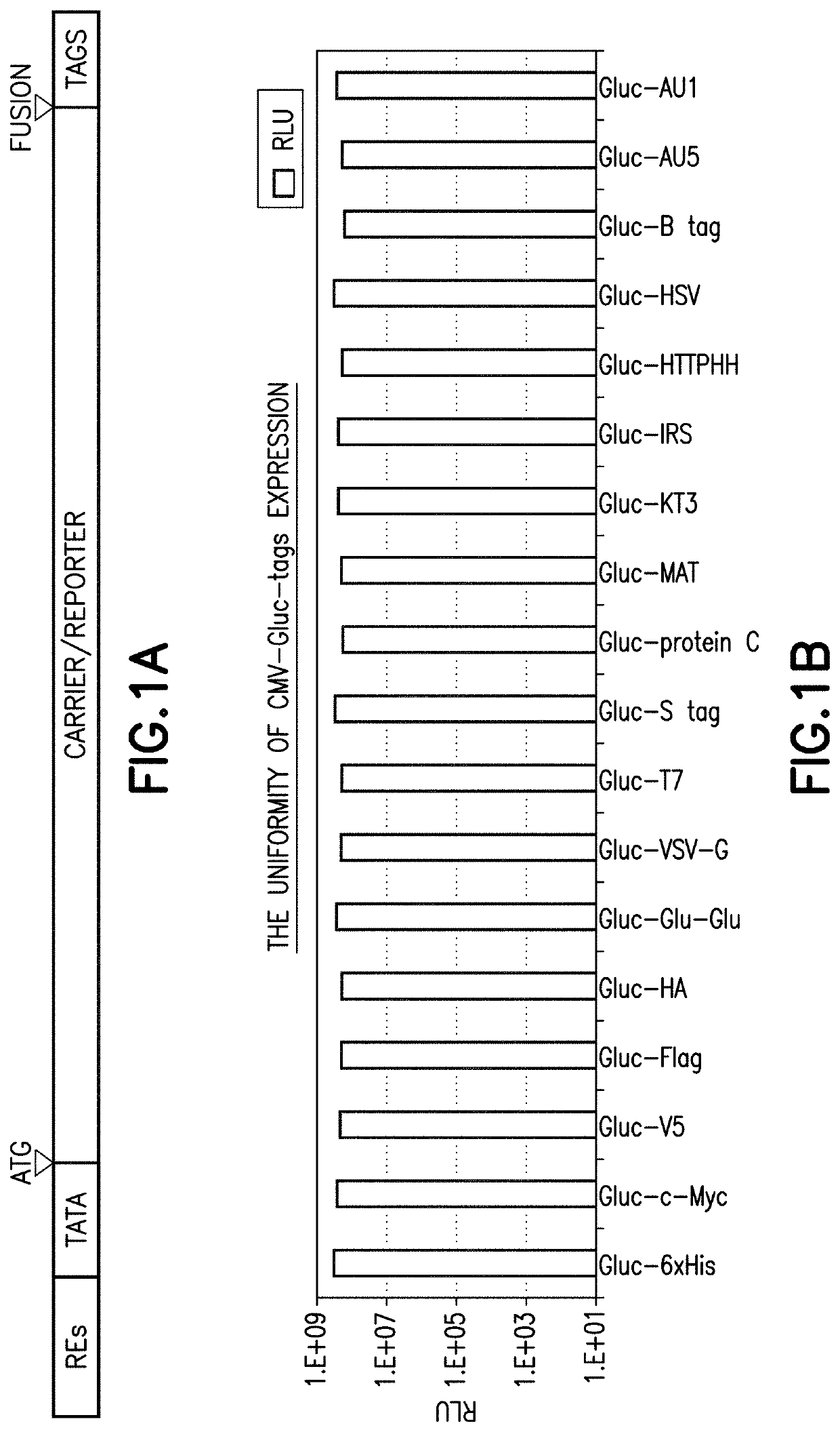 Multiplexing transcription factor reporter protein assay process and system