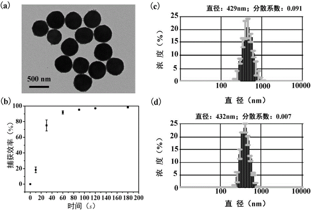 Lymph node metastasis carcinoma diagnostic method based on immunomagnetic beads and kit