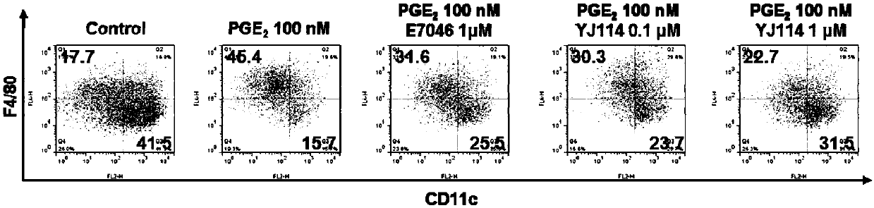 Thieno-ring compound and synthesis method and application thereof