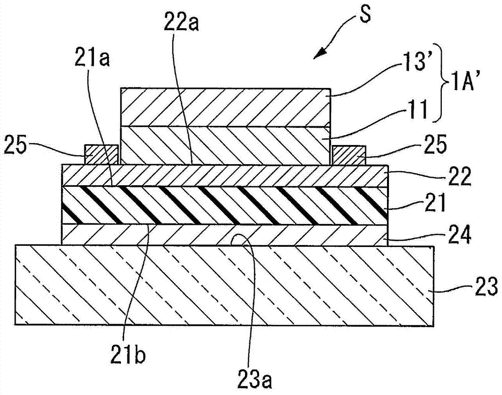 Adhesive composition, adhesive and adhesive sheet