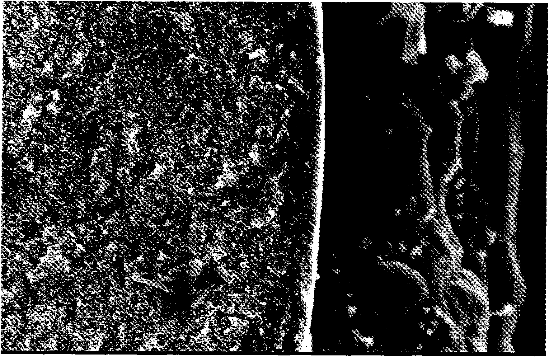 Polyvinylidene fluoride hollow fiber film and preparation method thereof