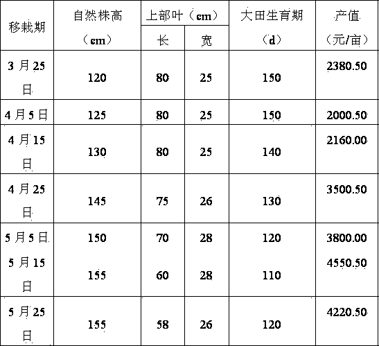 Planting and field management method for Hongda tobacco varieties on mountain land autumn-flowering red earth