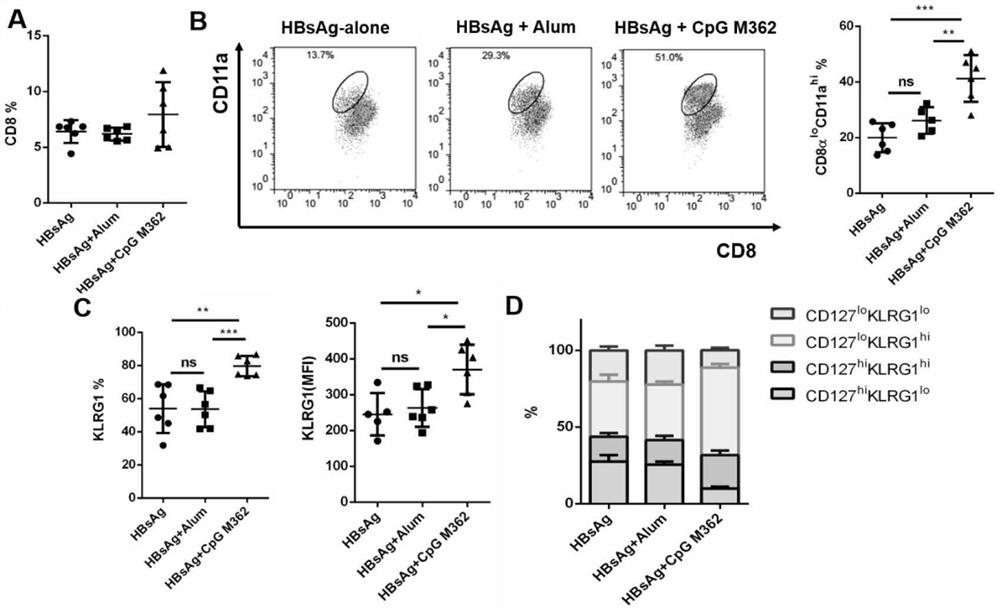 Application of C-type cpg as adjuvant in HBV preventive and therapeutic vaccine and preparation method thereof