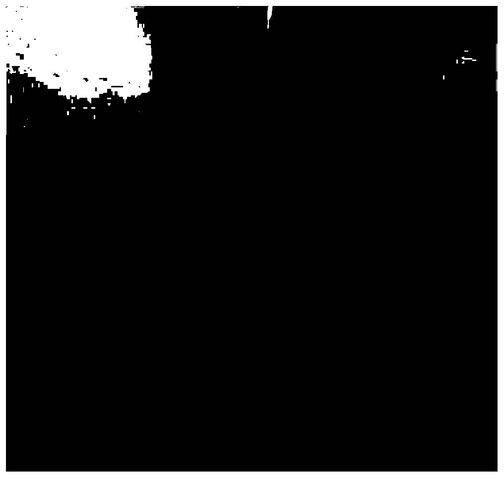 Sludge recycling treatment method