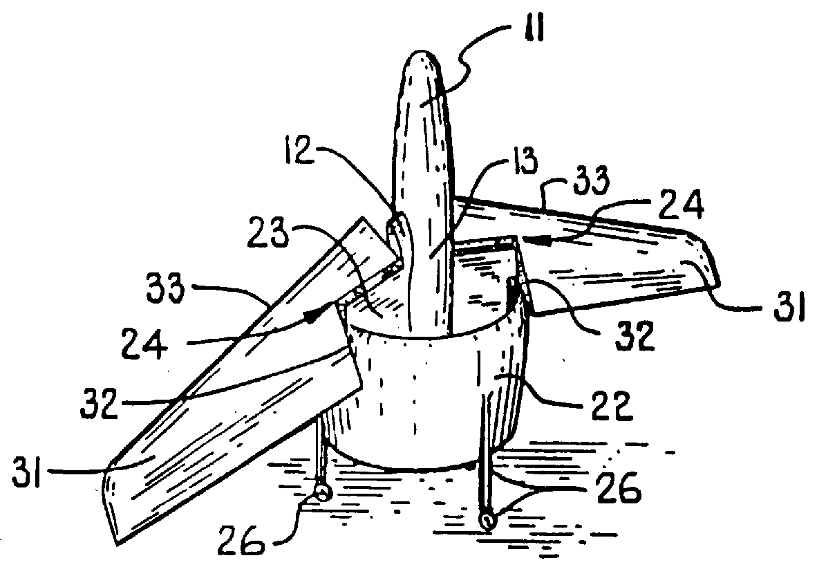 Airplane with variable-incidence wing