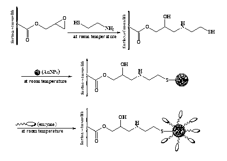 Preparation method for porous monolithic column immobilized enzyme micro-reactor