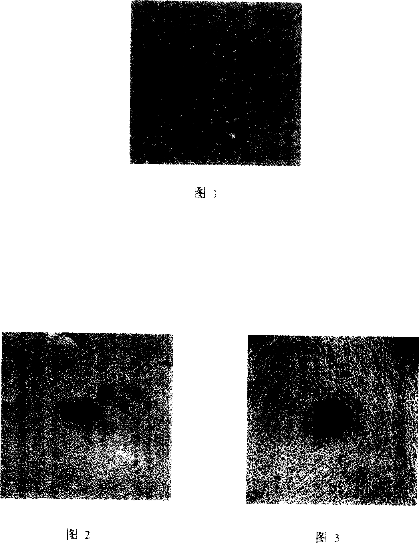 Method for obtaining chicken EPGCs unicellular clone