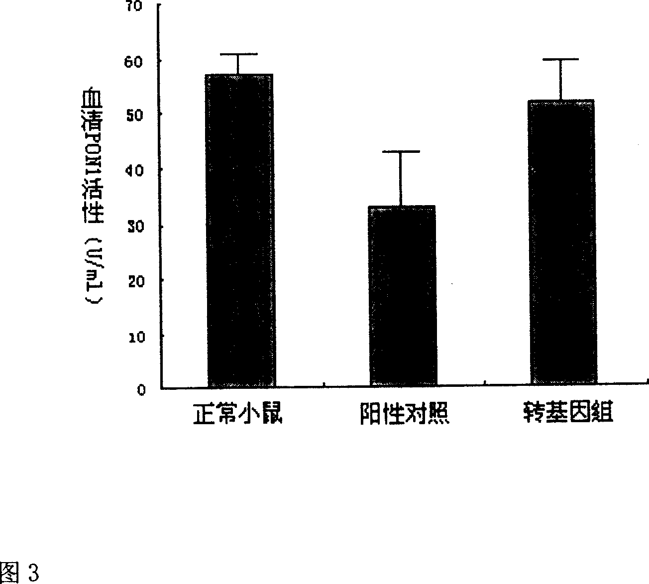 Construction and use of Q-type human paraoxonase 1 gene expression vector