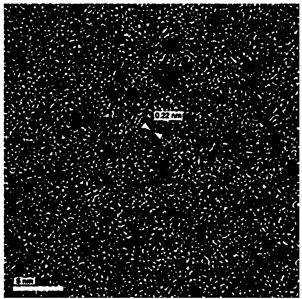 Preparation method of fluorescent sensor for detecting aristolochic acid A