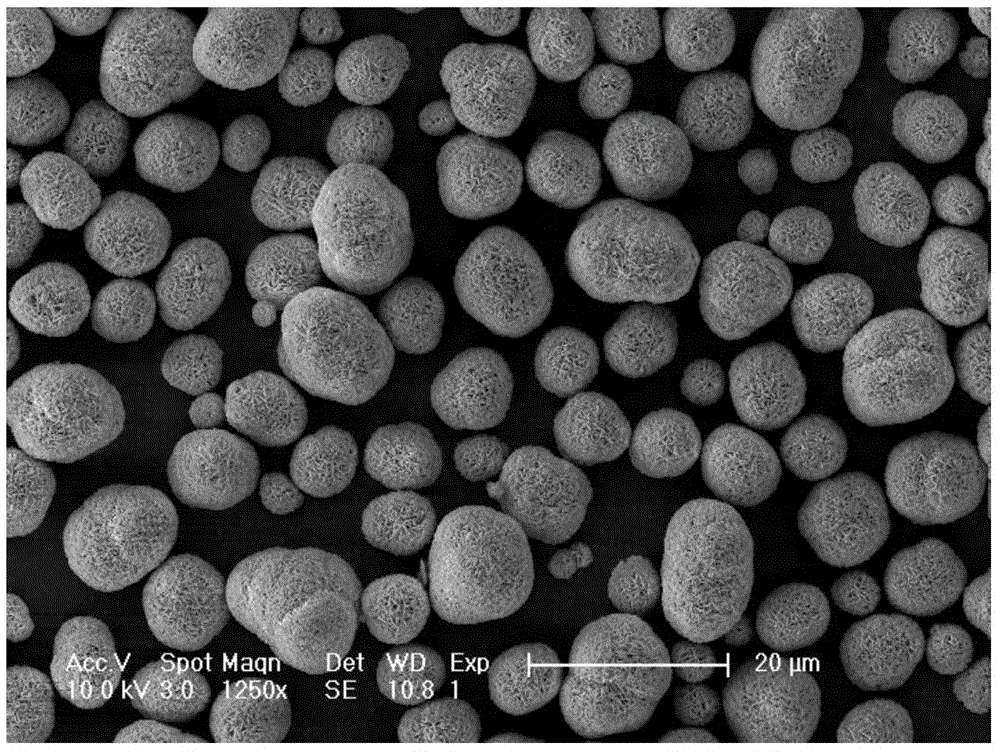 High-nickel-series and full-concentration gradient lithium ion battery positive electrode material and preparation method thereof