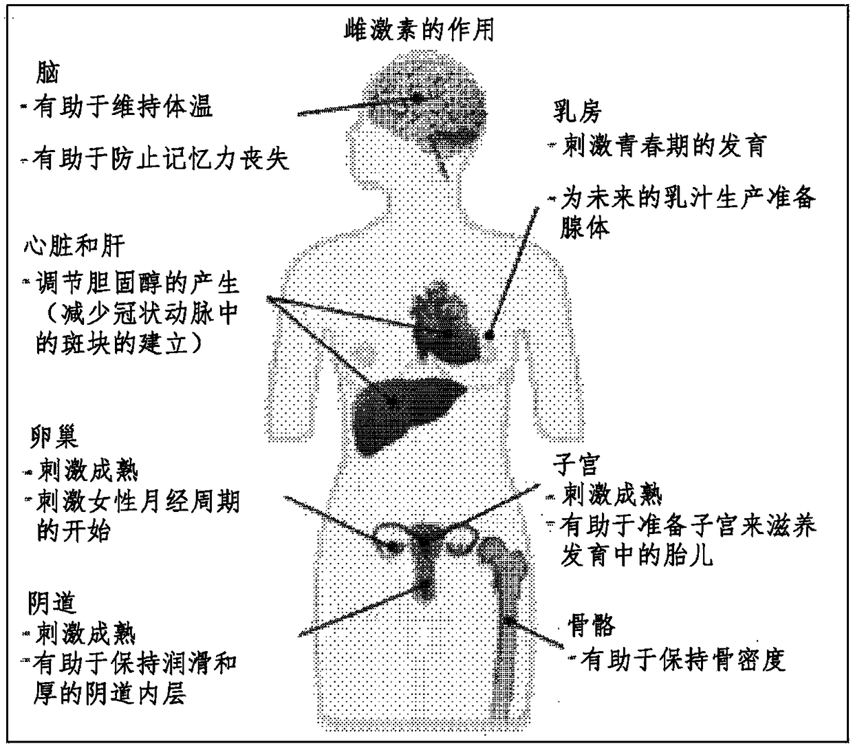 Composition, for preventing, remedying or treating female climacteric syndrome, containing loganin or derivative of same as active ingredient