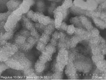 Iron-molybdenum doped nickel sulfide/foamed nickel electrode and preparation method and application thereof