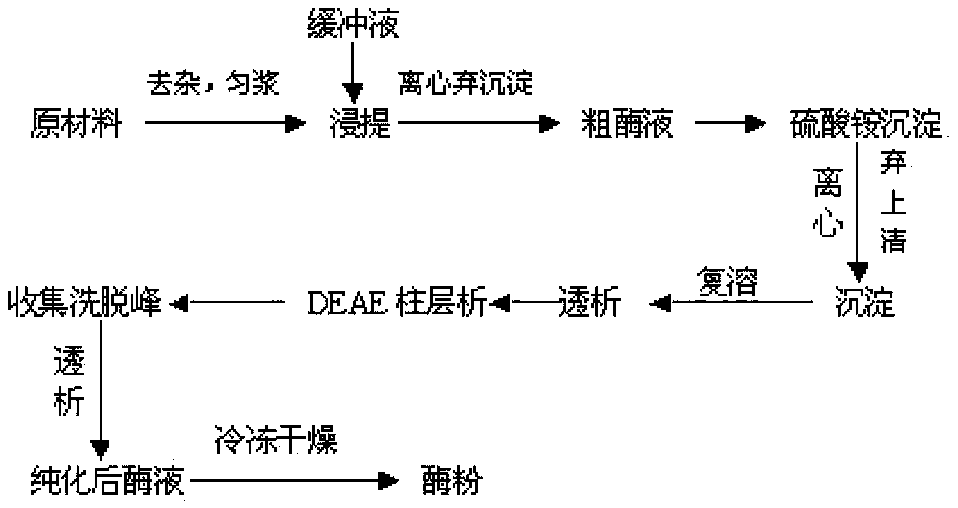 Butyrylcholine esterase, preparation method thereof and kit for quickly detecting pesticide residue and prepared by butyrylcholine esterase