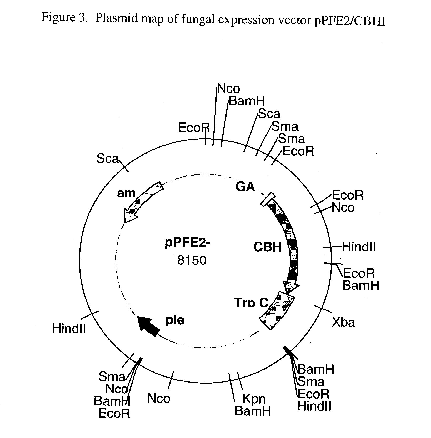 Cellobiohydrolase I gene and improved variants