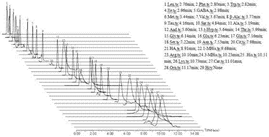 Method for directly detecting amino acid in biological tissue uniform sample by adopting high performance liquid chromatography-tandem mass spectrometry