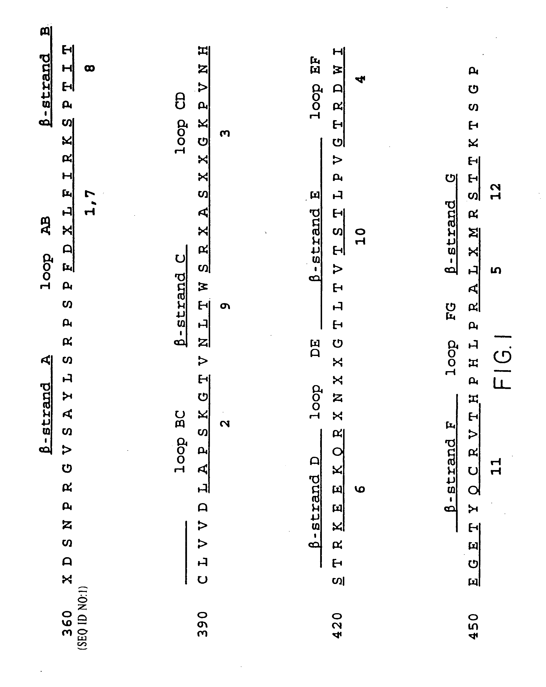 Nucleic acid encoding anti-IgE antibodies