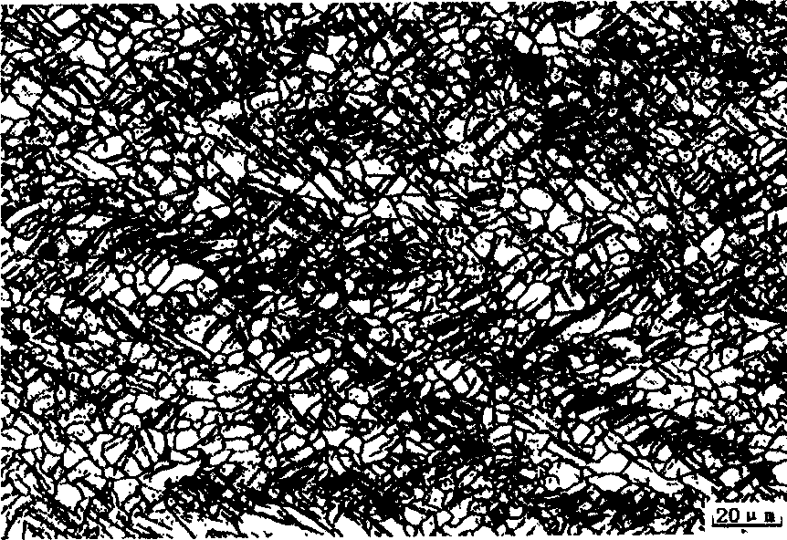 Method for preparing 300MPa grade and isotropous AZ31 magnesium alloy sheet