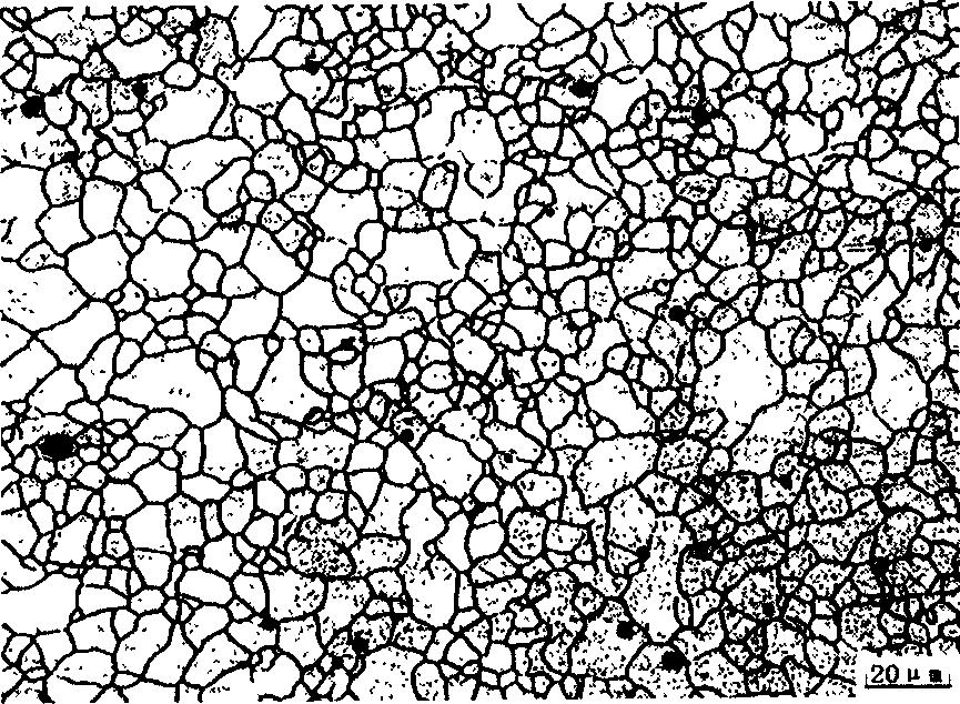 Method for preparing 300MPa grade and isotropous AZ31 magnesium alloy sheet