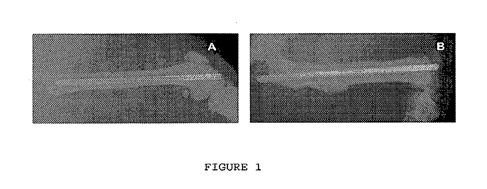 Use of vanadium compounds to accelerate bone healing