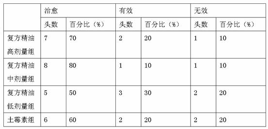 A kind of compound essential oil for treating livestock endometritis and preparation method thereof