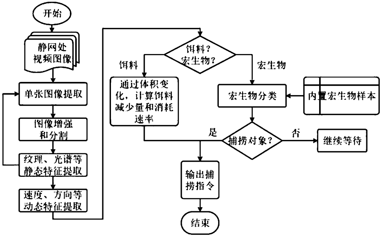 Active deep sea macro-organism trapping device and method