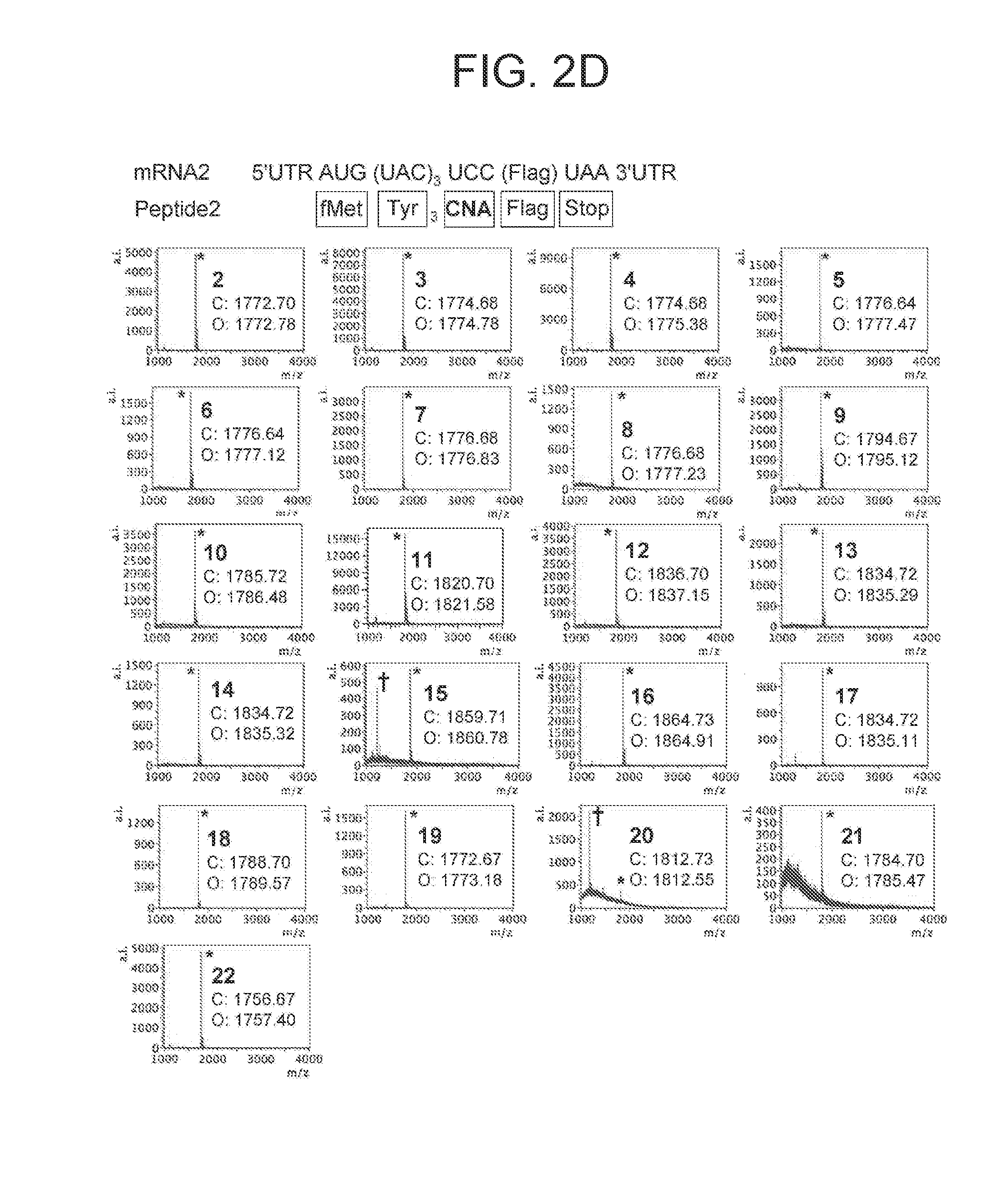 Method for Producing Peptide Library, Peptide Library, and Screening Method