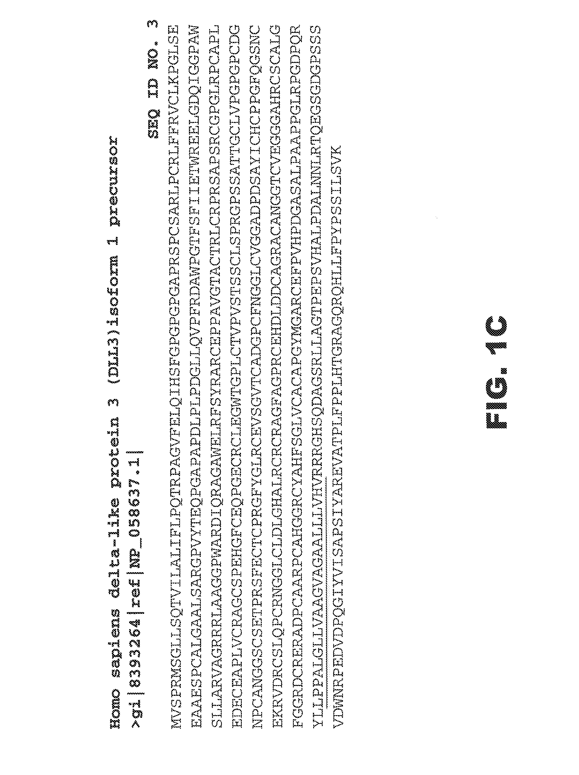 Dll3 modulators and methods of use