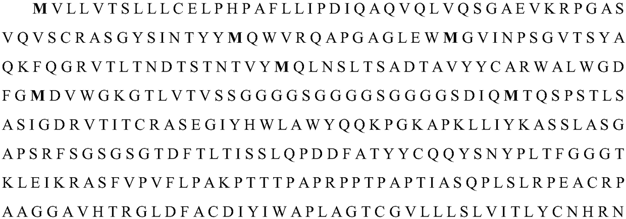 Transgenic lymphocyte co-expressing anti-mesothelin (MSLN) chimeric antigen receptor and non-function EGFR and application thereof