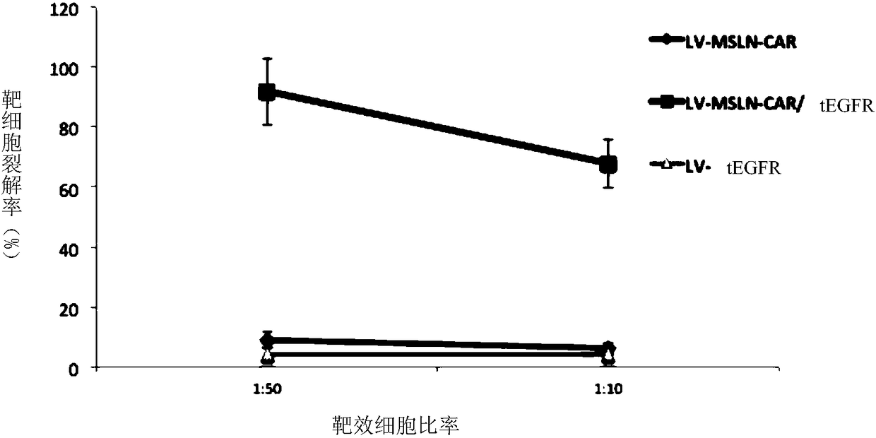 Transgenic lymphocyte co-expressing anti-mesothelin (MSLN) chimeric antigen receptor and non-function EGFR and application thereof