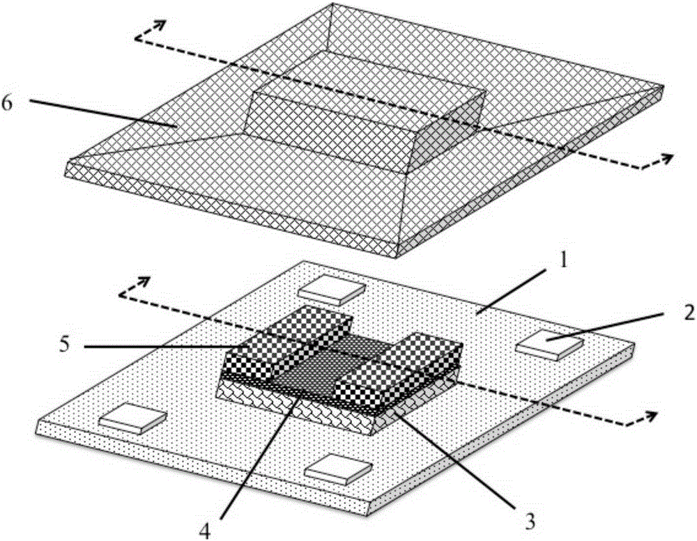 Electronic skin with irregular surface microspikes and preparation method of electronic skin