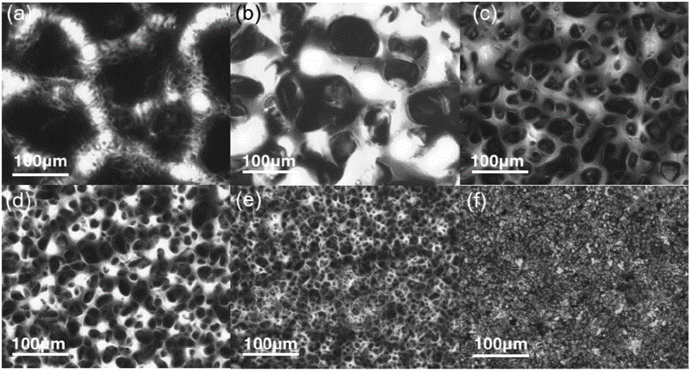 Electronic skin with irregular surface microspikes and preparation method of electronic skin