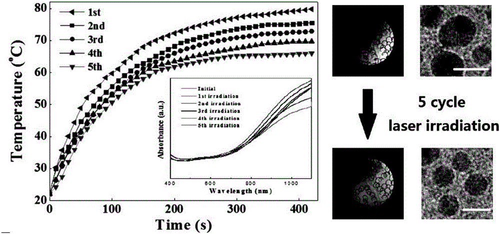 Photothermal conversion nanoparticles for targeted thermal elimination of Tregs (regulatory T cells), preparation and application