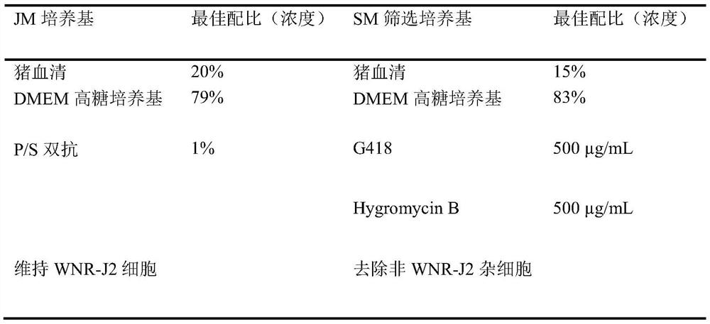 Molecular culture medium for culturing small intestine organoids of pigs