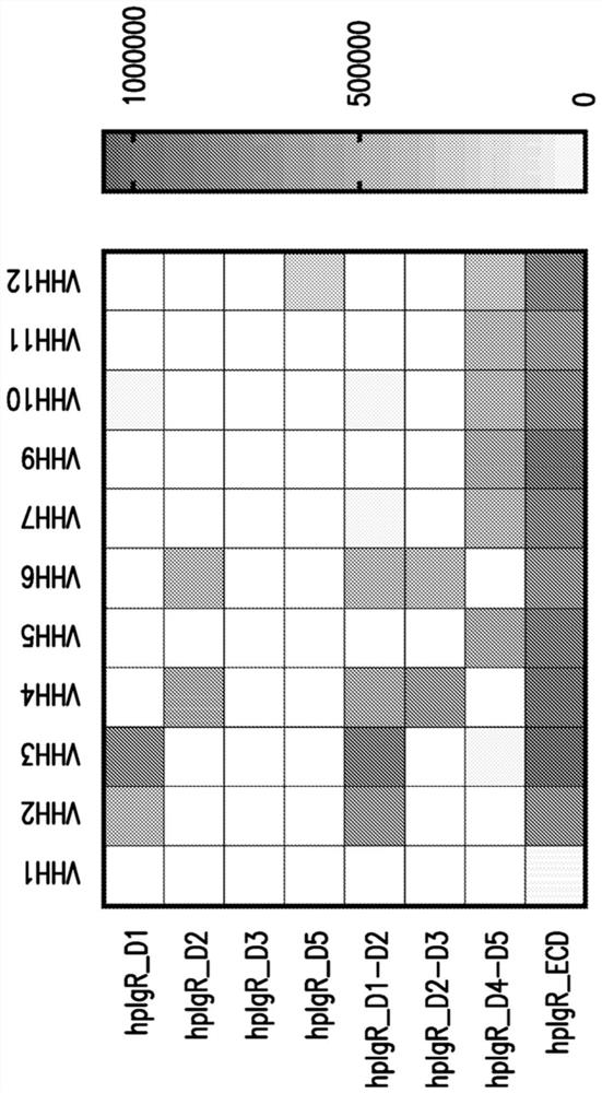 Materials and methods for multidirectional biological transport