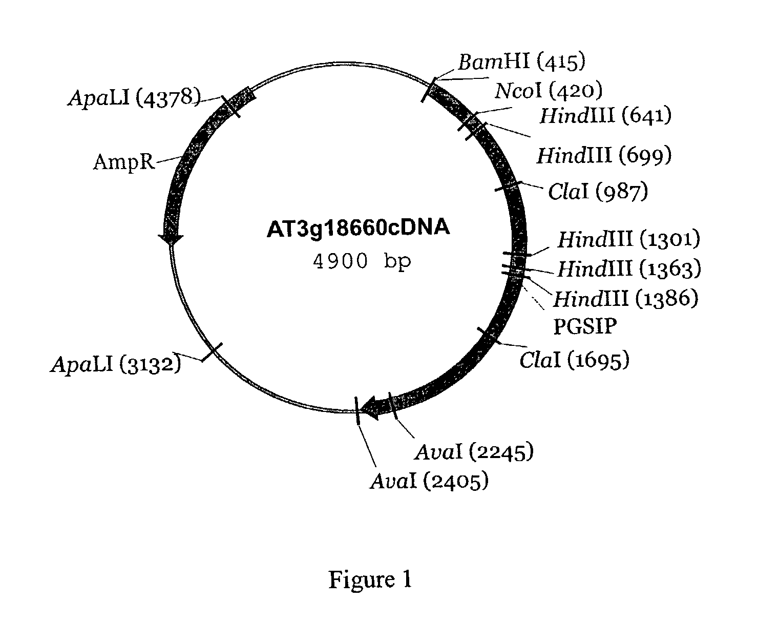 Starch modification