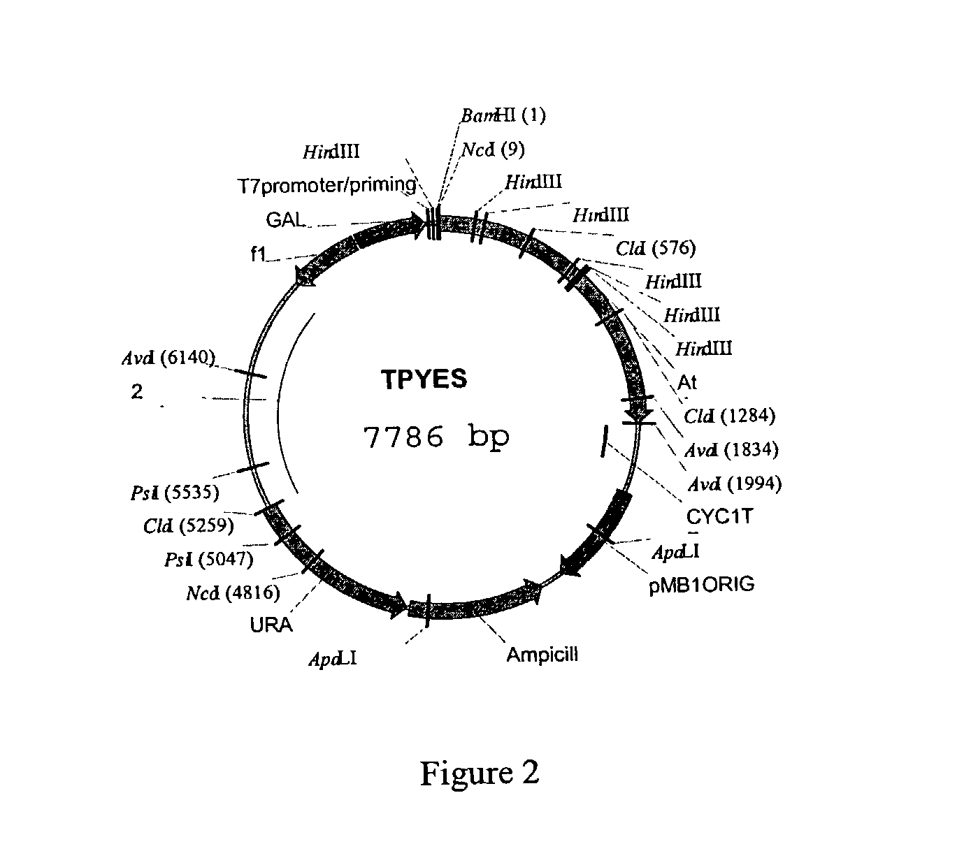 Starch modification