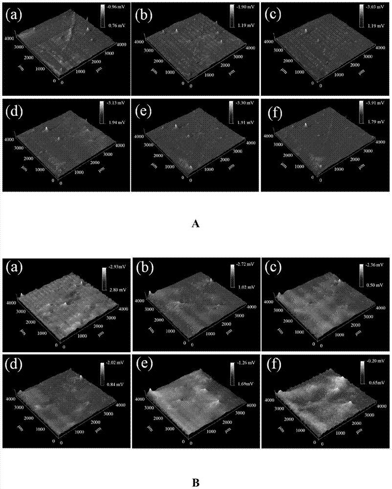 A kind of magnesium or magnesium alloy surface treatment method that can control the degradation rate