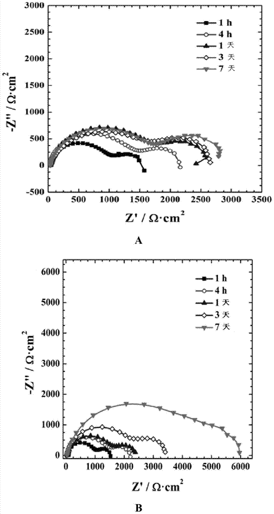 A kind of magnesium or magnesium alloy surface treatment method that can control the degradation rate