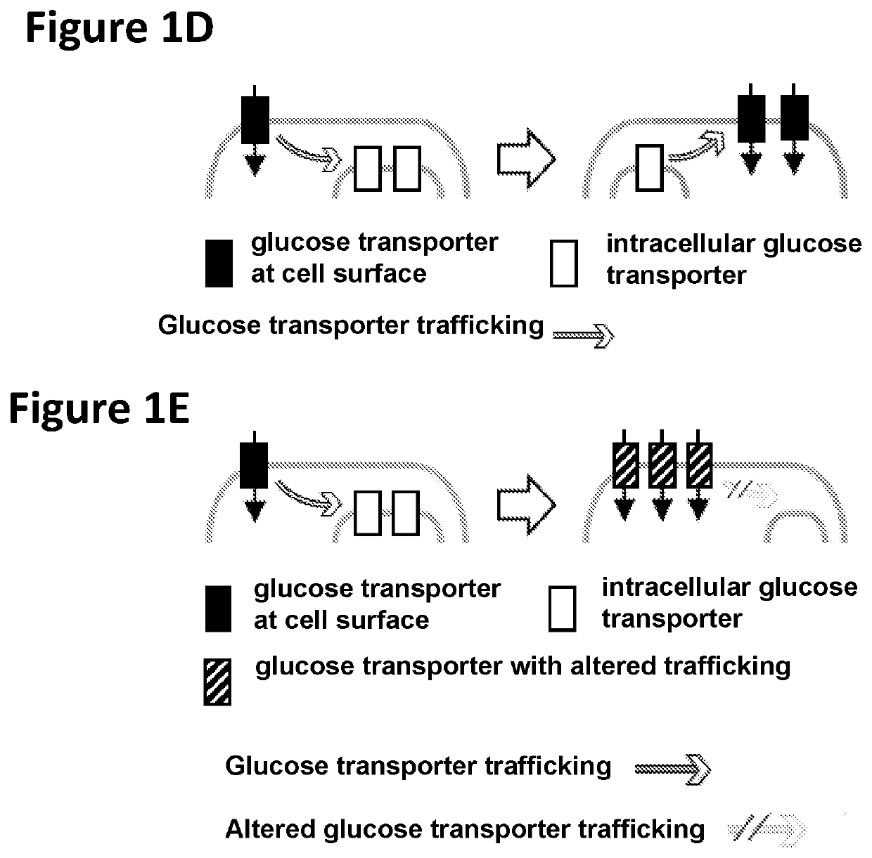 Chimeric receptors in combination with trans metabolism molecules enhancing glucose import and therapeutic uses thereof