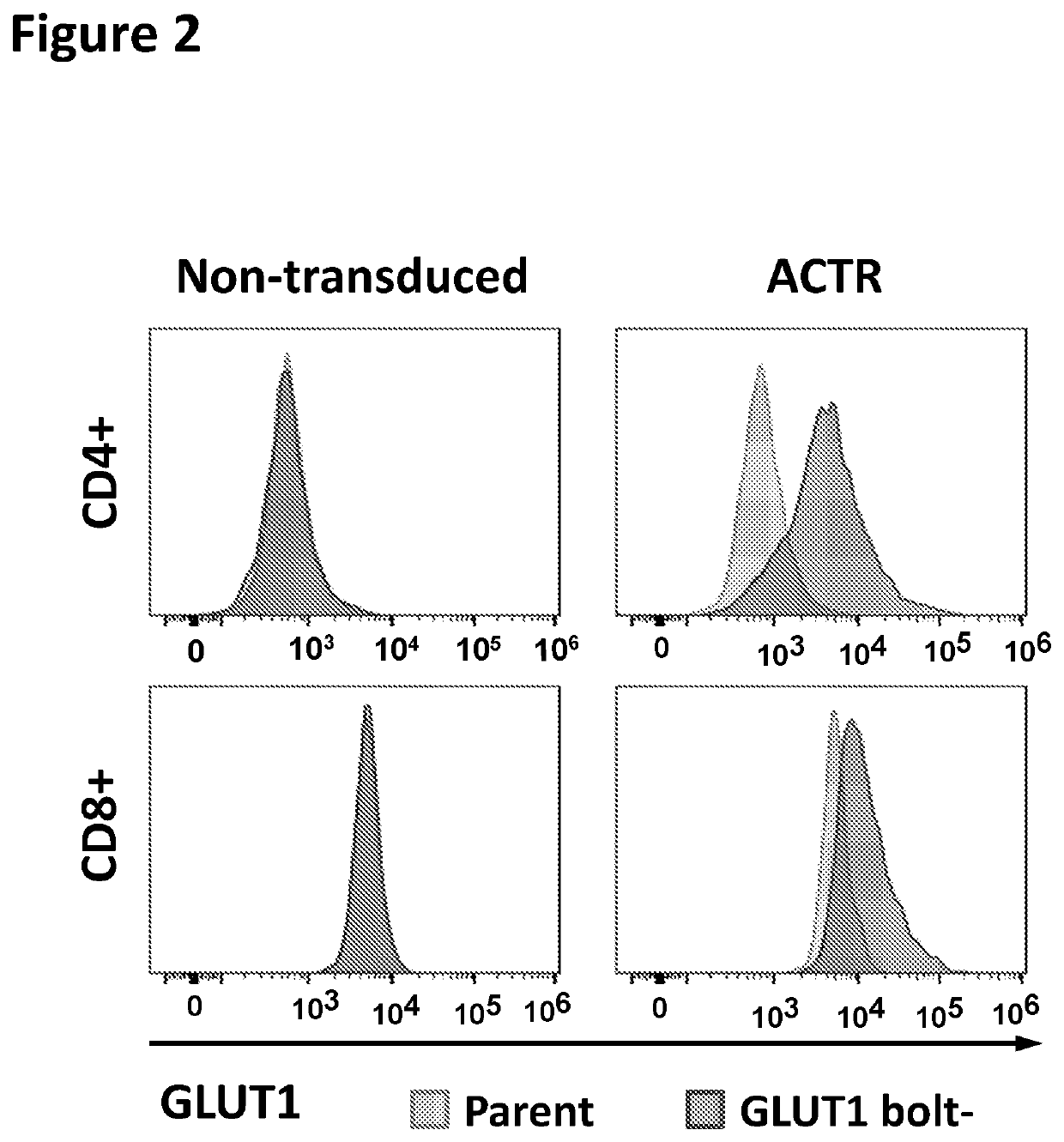 Chimeric receptors in combination with trans metabolism molecules enhancing glucose import and therapeutic uses thereof