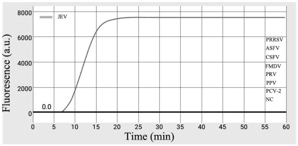 Kit used for detecting porcine Japanese encephalitis virus by combining centrifugal micro-fluidic chip technology with loop-mediated isothermal amplification technology