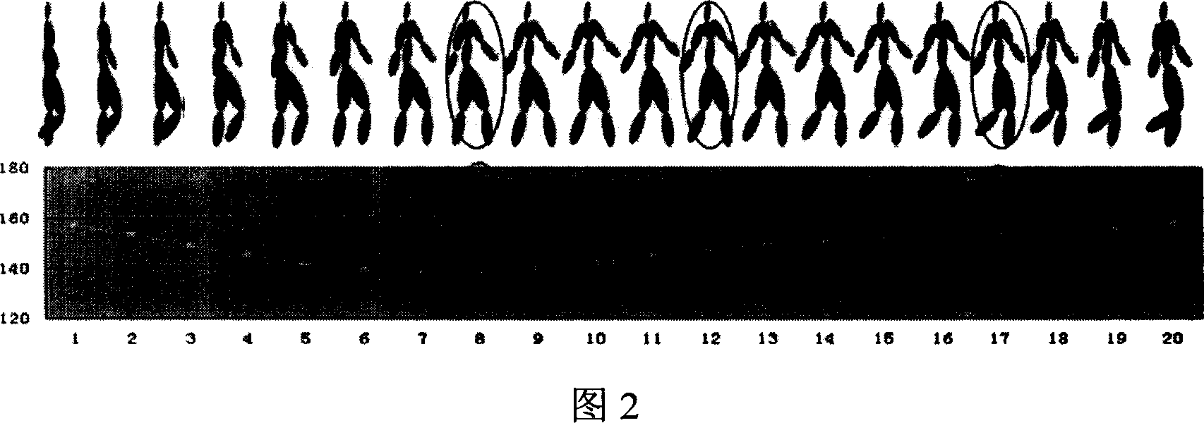 Extraction method of key frame of 3d human motion data