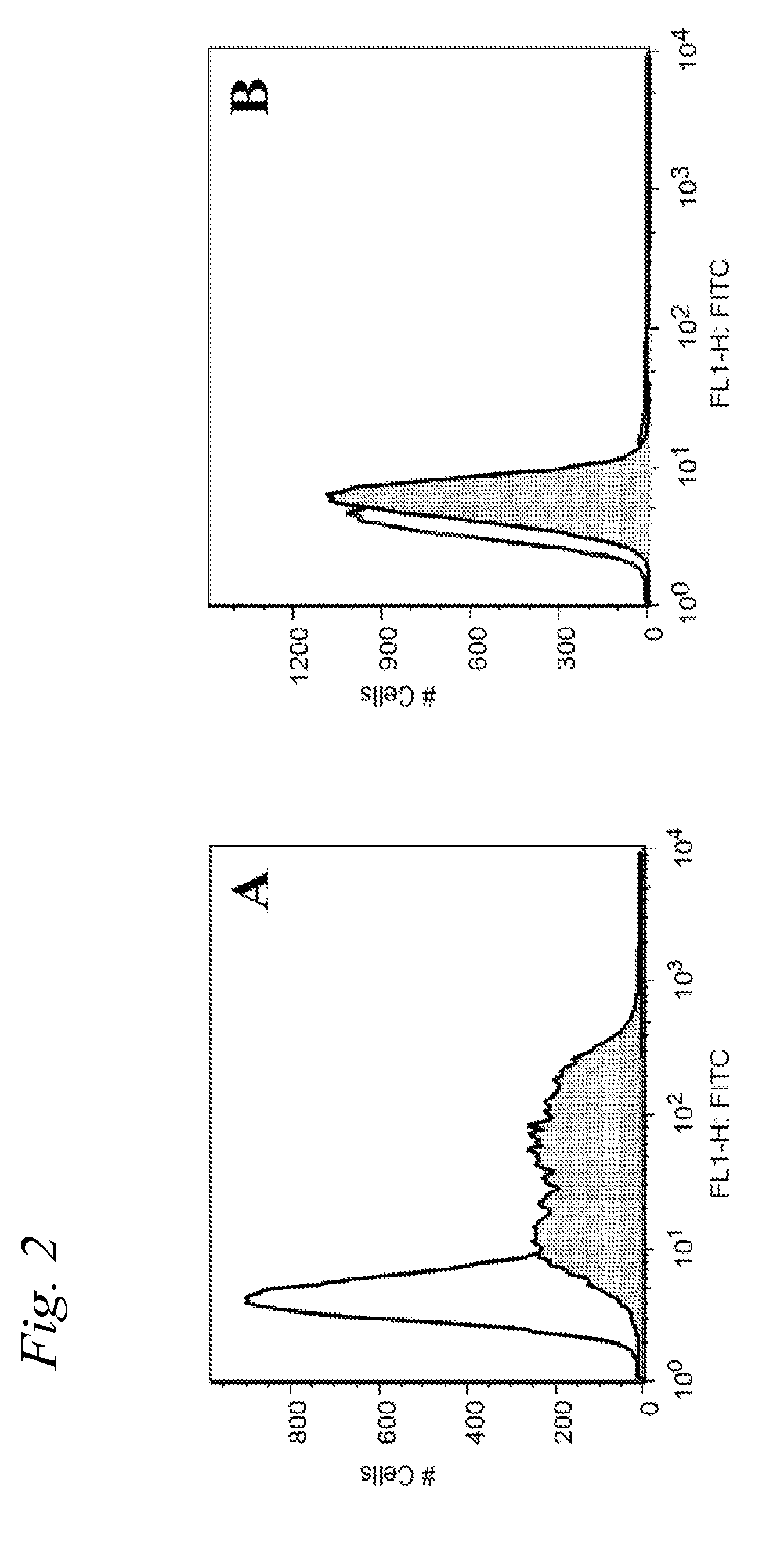 Immunogenic vaccine