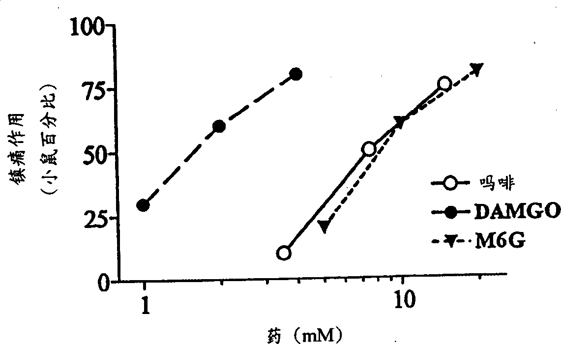 Topical compositions comprising opioid analgesic and NMDA antagonist