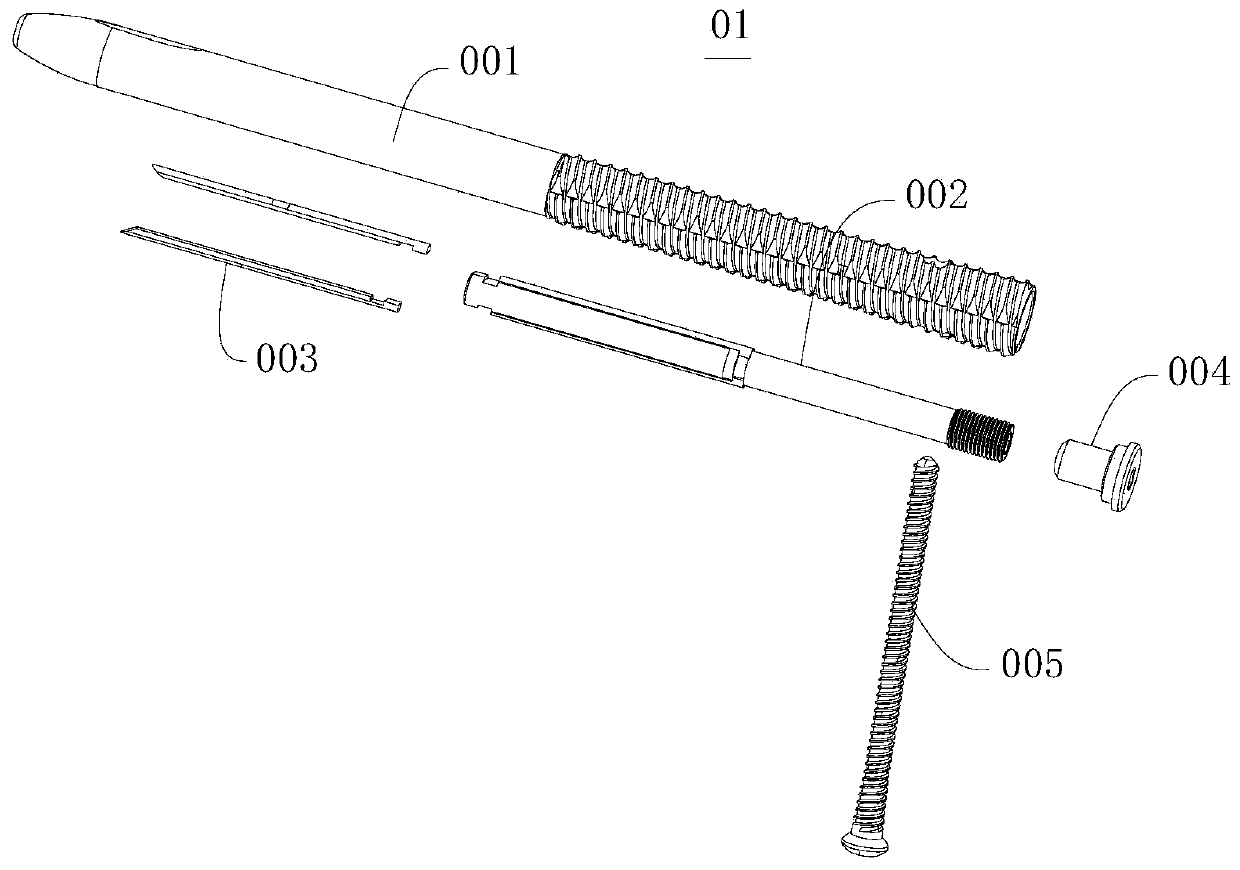 Intramedullary nail