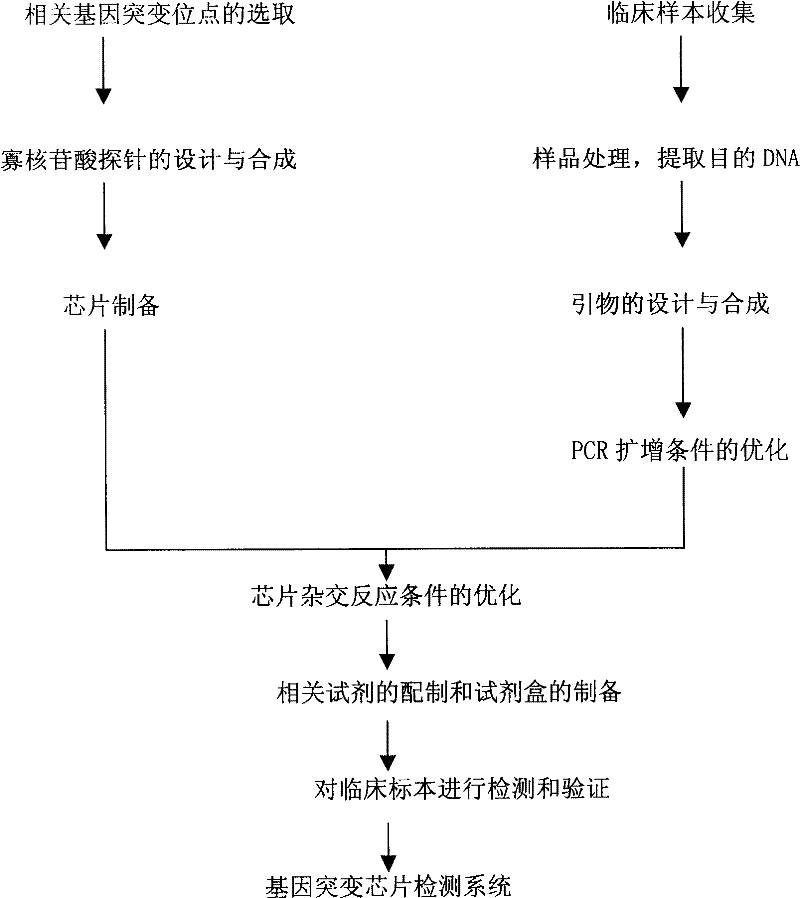 Double-probe gene mutation detecting method based on allele special amplification as well as special chip and kit thereof