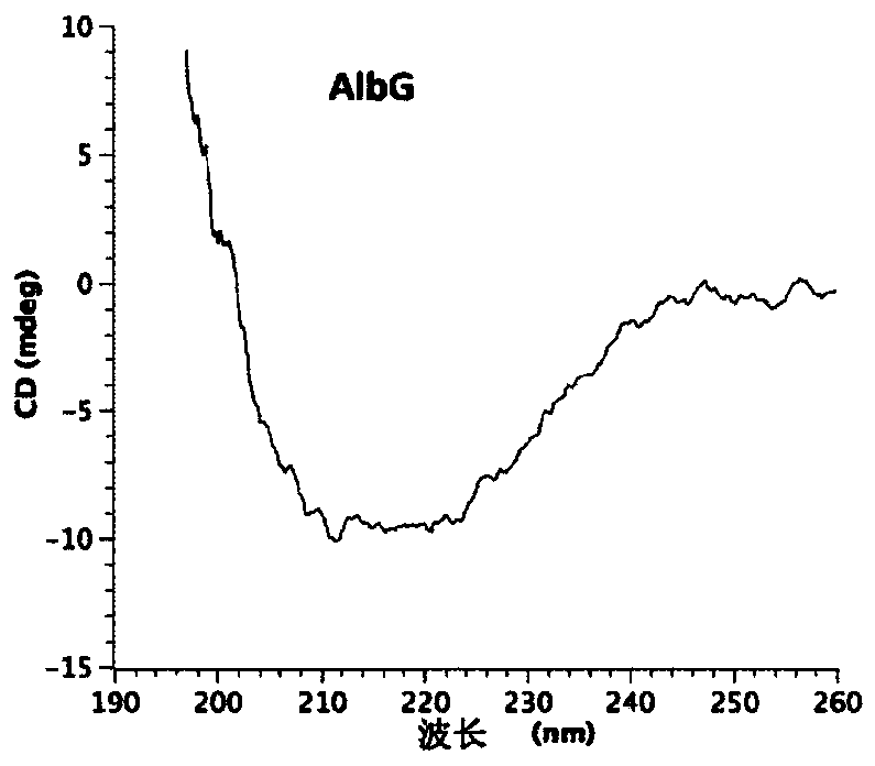 Cell membrane penetrating conjugates