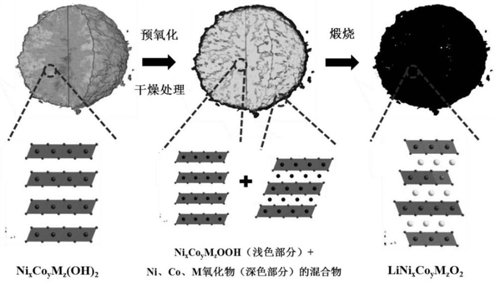 Preparation method of lithium ion battery high-nickel cathode material