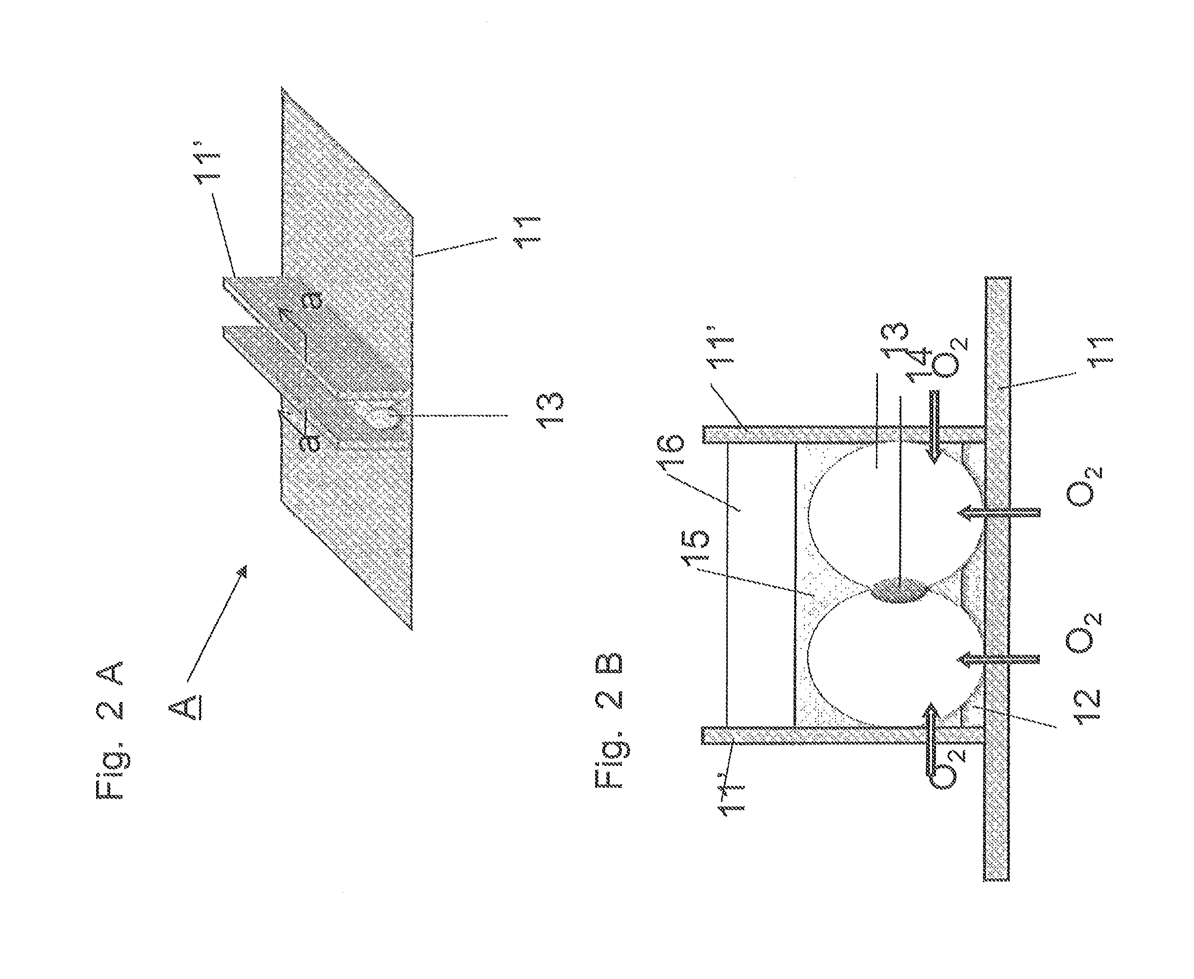 Method for culture of hepatocytes