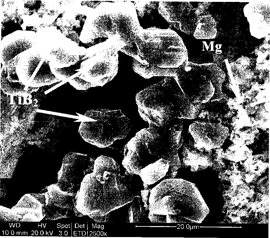 Method for preparing Mg-Ti-B grain refiner for magnesium and magnesium alloy